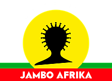 Jambo Afrika zet de school op stelten